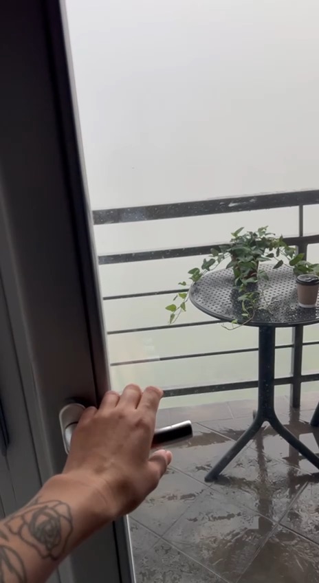 Morning Fog